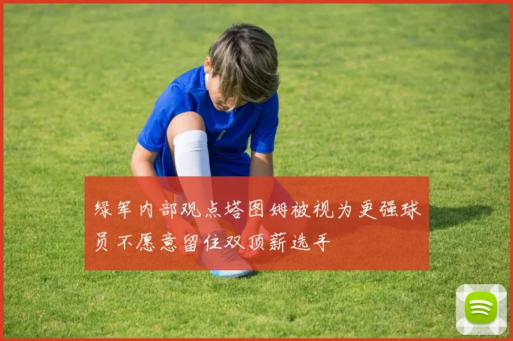 绿军内部观点塔图姆被视为更强球员不愿意留住双顶薪选手