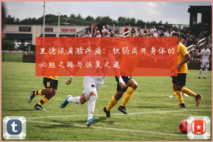 里德谈肩膀疼痛：软弱离开身体的必经之路与恢复之道