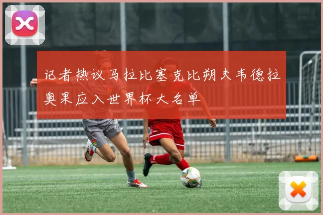 记者热议马拉比塞克比朔夫韦德拉奥果应入世界杯大名单